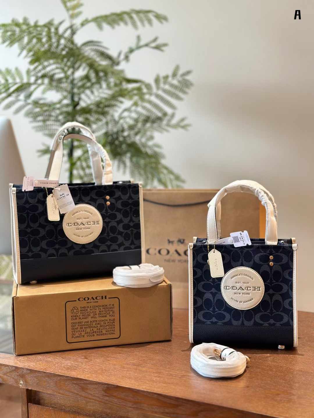 Coach コーチ キャンバス トートバッグ 30*22cm 22*21cm - 画像 (3)