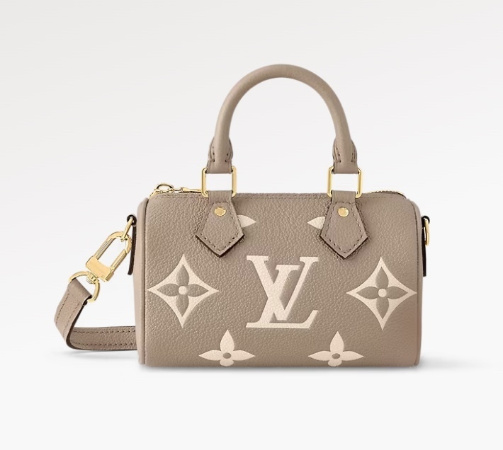 希少 LOUIS VUITTON ナノスピーディー ミニバッグ 黒 SAC NANO SPEEDY M81456 M82890 - 画像 (5)