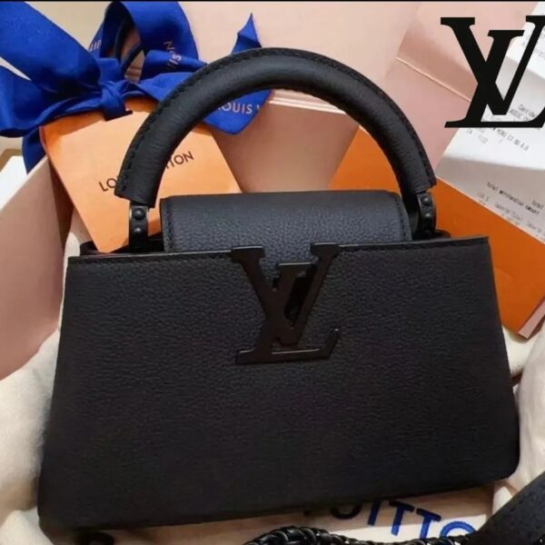 Louis Vuitton ★カプシーヌEW ミニ M23955 M23956