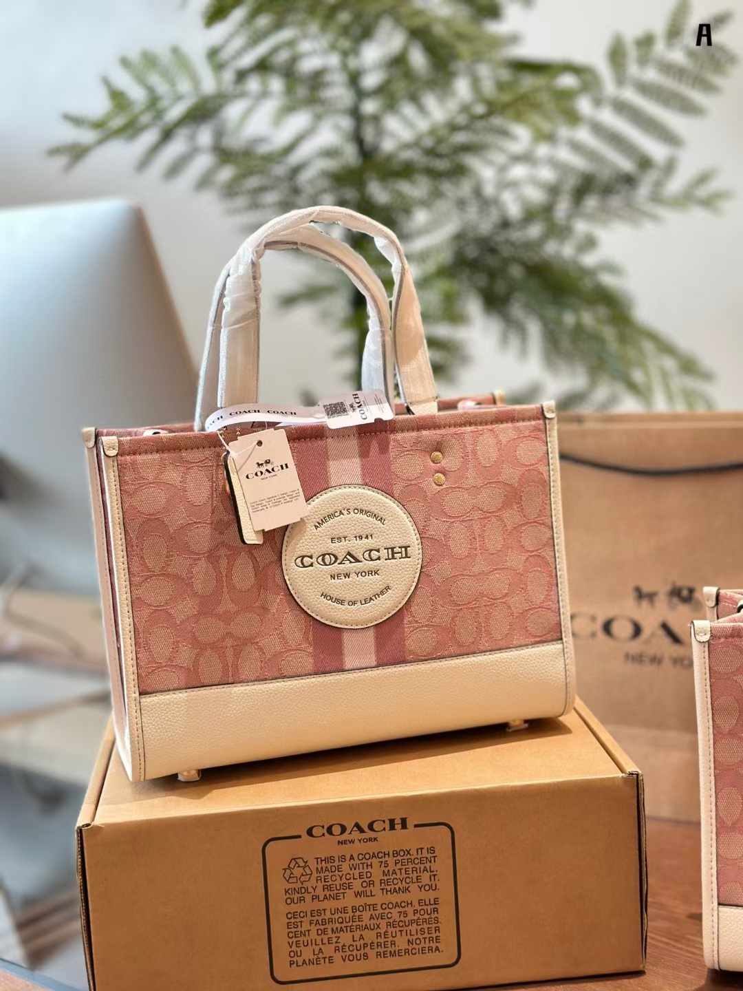 Coach コーチ キャンバス トートバッグ 30*22cm 22*21cm - 画像 (13)