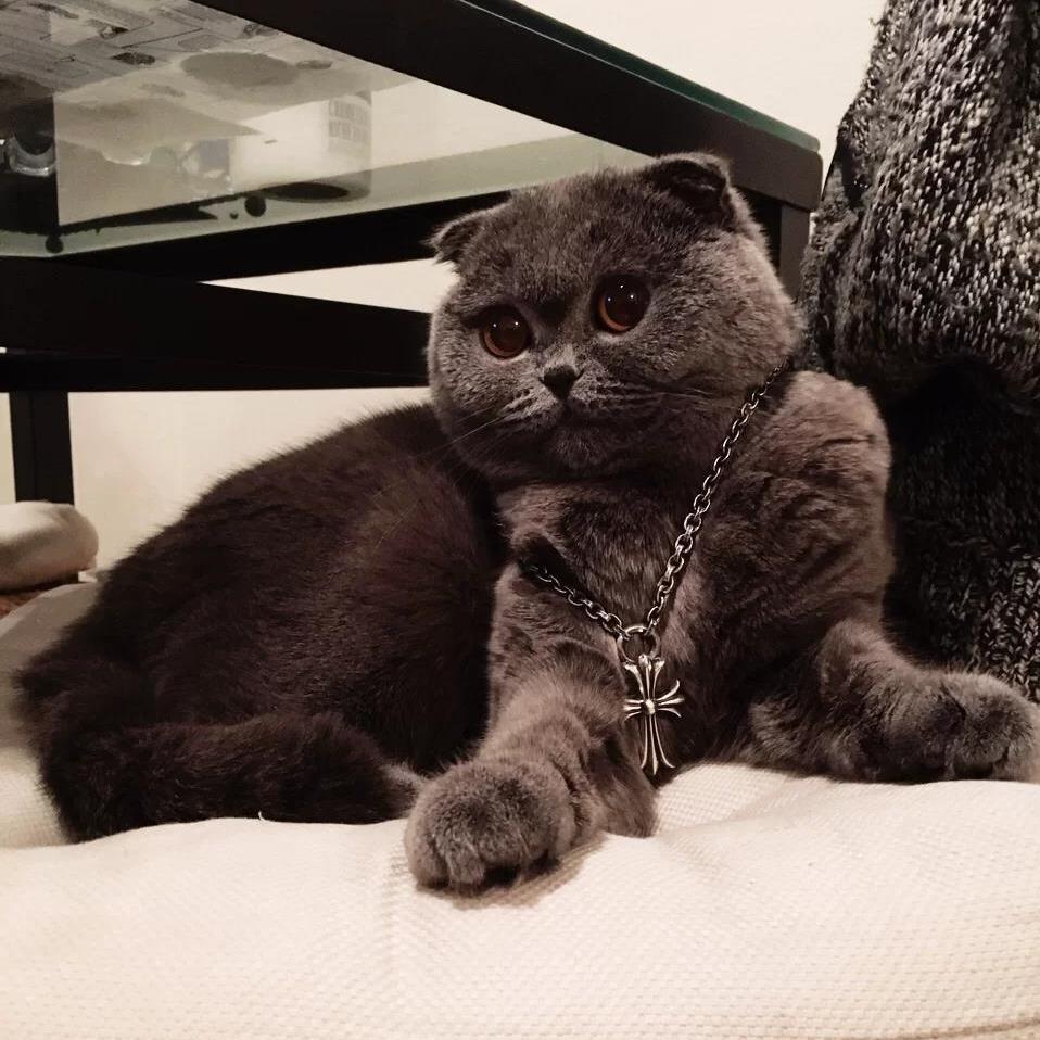 Chrome Hearts (クロムハーツ) クロス ネックレス 70cm - 画像 (17)