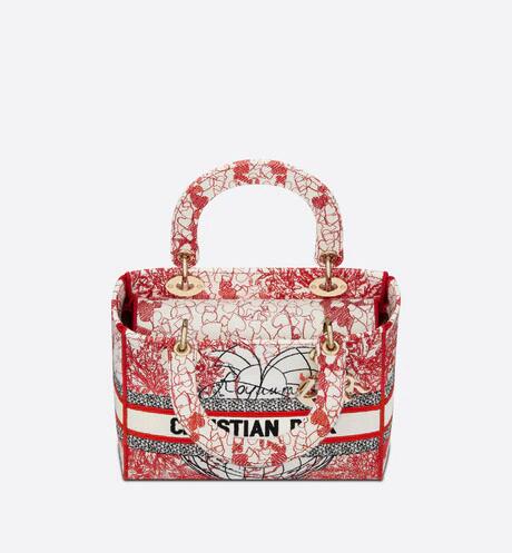 LADY D-LITE ミディアムバッグ - 画像 (4)