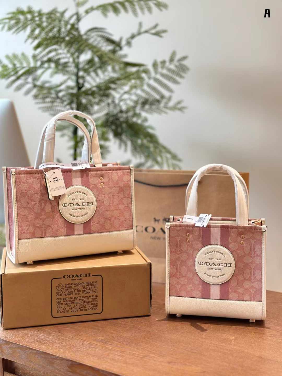 Coach コーチ キャンバス トートバッグ 30*22cm 22*21cm - 画像 (15)