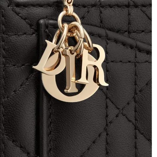 国内発送◇直営買付 ◆DIOR◆ ロゴ フラグメントケース♪ - 画像 (8)