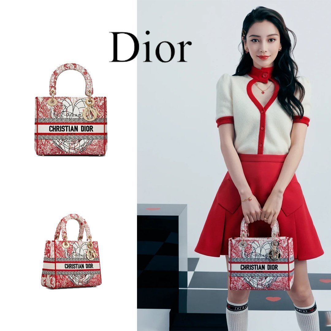 LADY D-LITE ミディアムバッグ