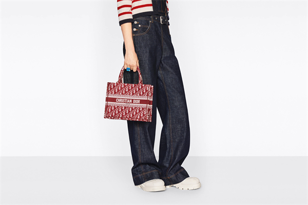 DIOR BOOK TOTE スモールバッグ ディオール オブリーク エンブロイダリー (26.5 x 21 x 14 cm) - 画像 (5)