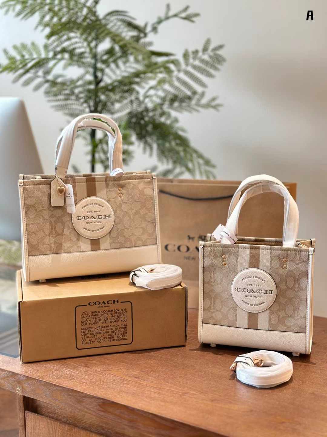 Coach コーチ キャンバス トートバッグ 30*22cm 22*21cm - 画像 (12)