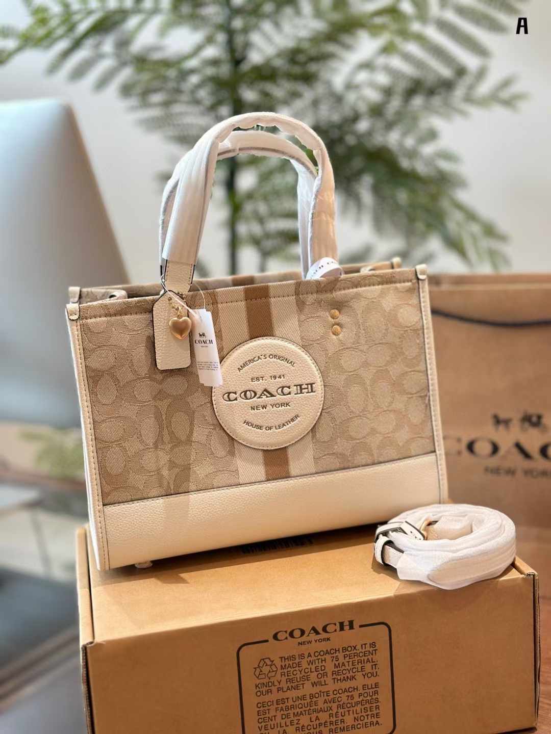 Coach コーチ キャンバス トートバッグ 30*22cm 22*21cm - 画像 (11)