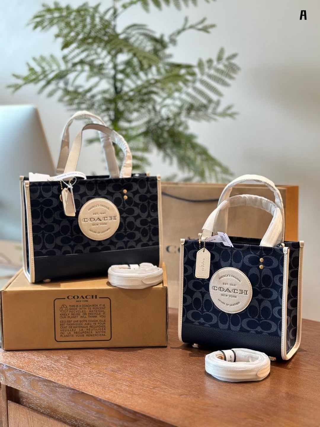 Coach コーチ キャンバス トートバッグ 30*22cm 22*21cm