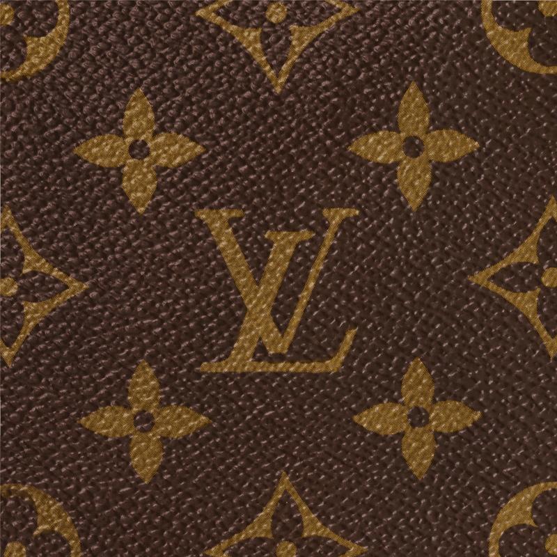 LOUIS VUITTON PDV PM Ref:M52005 - 画像 (5)