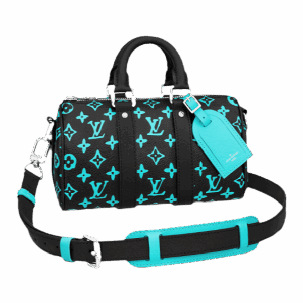 Louis Vuitton 101