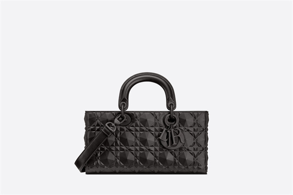 DIOR LADY D-JOY バッグ 26 x 13.5 x 5 cm