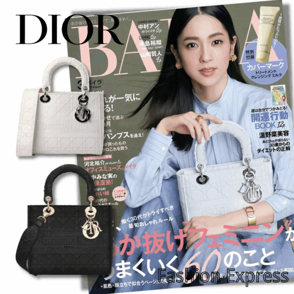 【DIOR】雑誌掲載！中村アンさん愛用！憧れのMedium Lady D-Lite Bag！ 刺繍キャンバス グレー バッグ【バッグ】