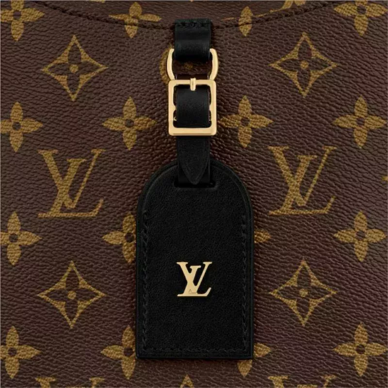 【Louis Vuitton】ODEONミディアムハンドバッグ【バッグ】 - 画像 (13)