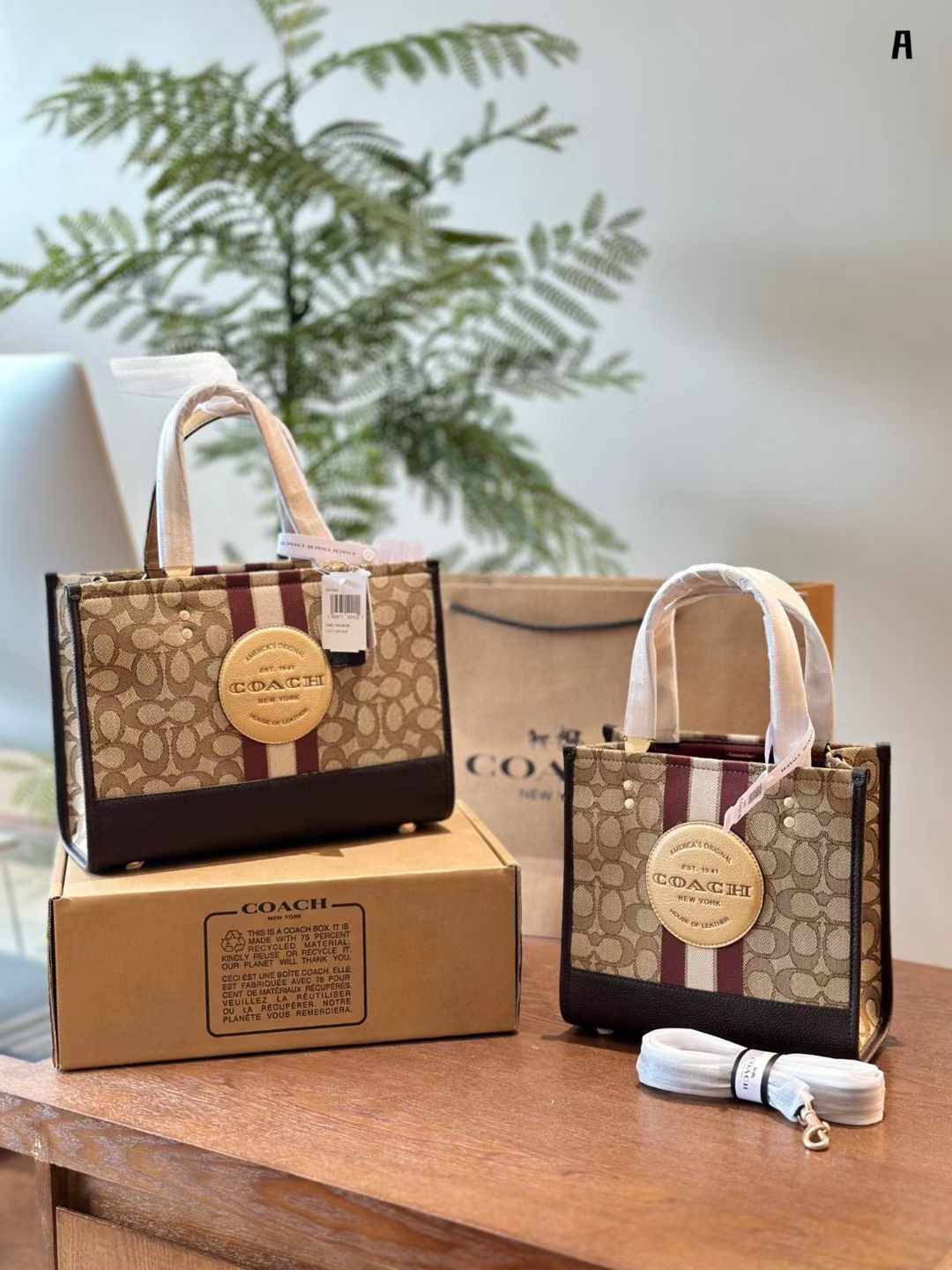 Coach コーチ キャンバス トートバッグ 30*22cm 22*21cm - 画像 (8)