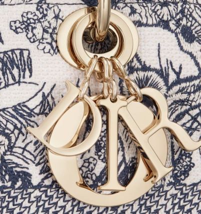 DIOR 2種類★LADY D-LITE ミディアムバッグ★M0565OTDT_M808 - 画像 (6)