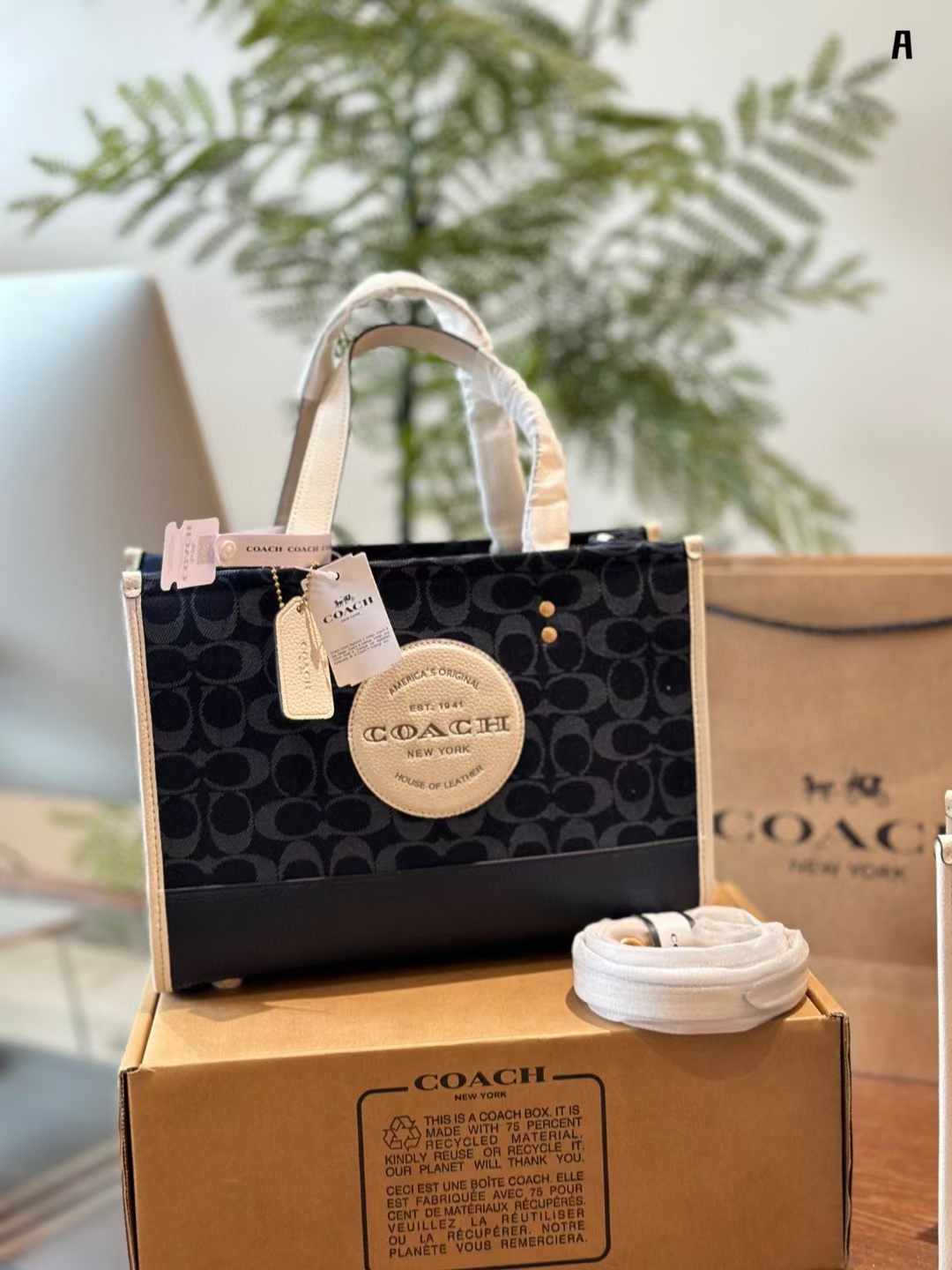 Coach コーチ キャンバス トートバッグ 30*22cm 22*21cm - 画像 (2)