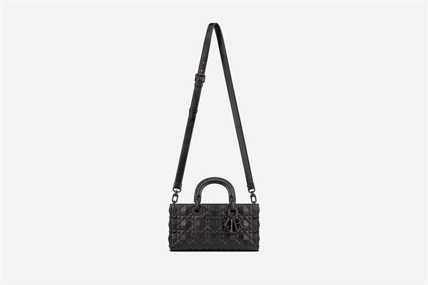 DIOR LADY D-JOY バッグ 26 x 13.5 x 5 cm - 画像 (4)
